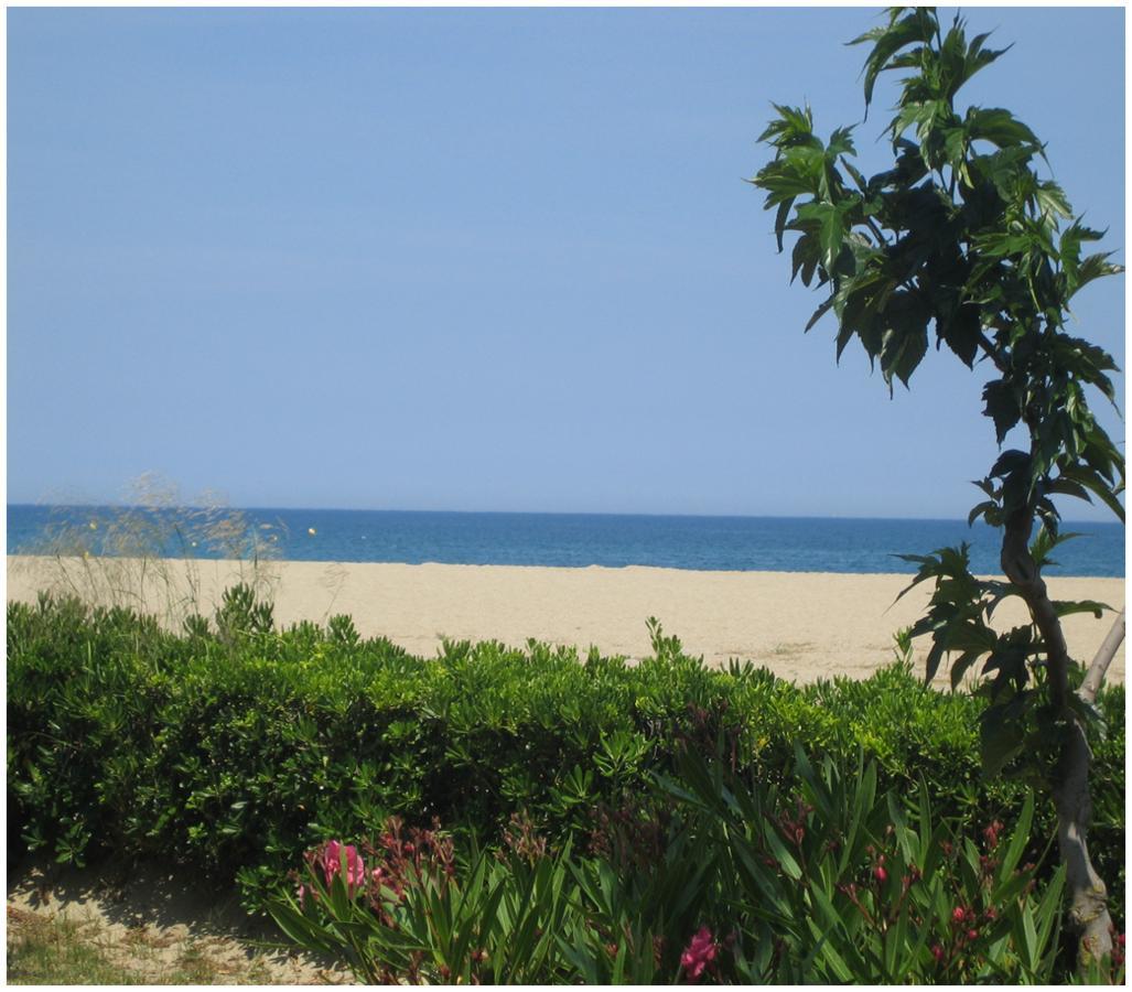 Locations Meublees Plage Des Pins 아르젤레쉬르메르 외부 사진