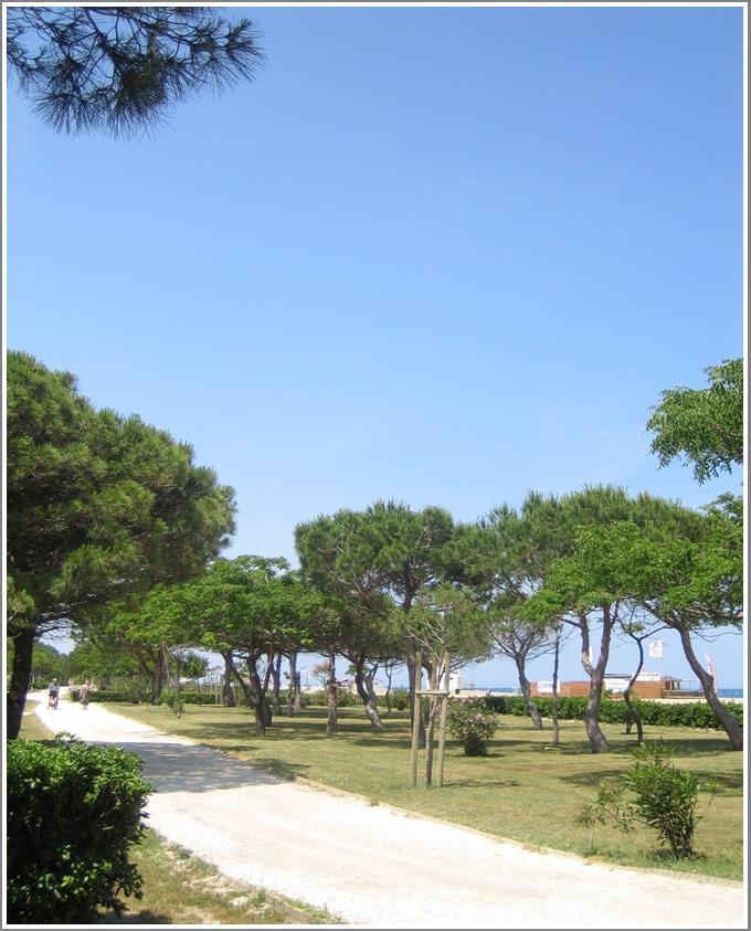 Locations Meublees Plage Des Pins 아르젤레쉬르메르 외부 사진